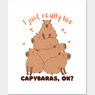 I just really like capybaras OK Posters and Art